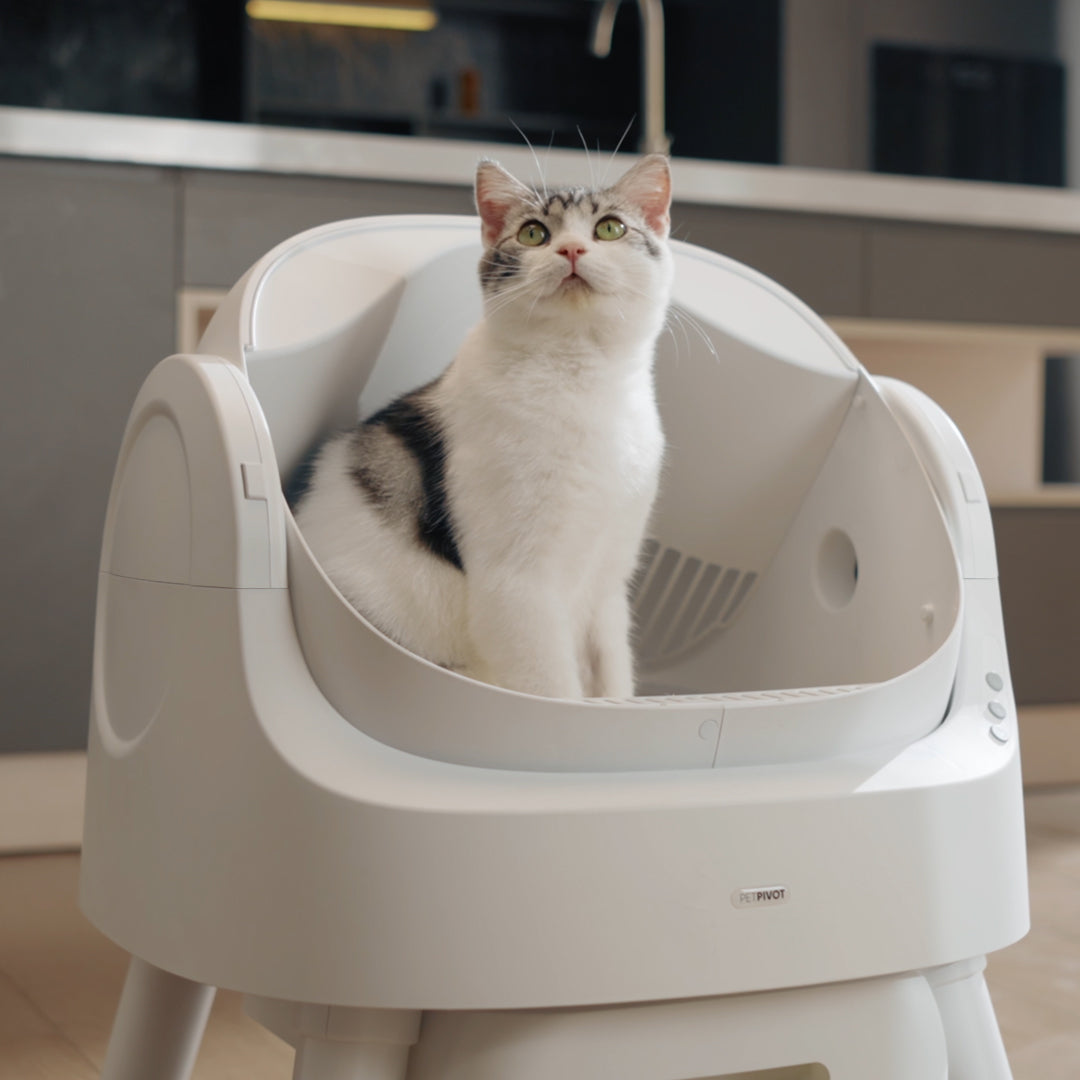 ๐บ Auto-Cleaning Smart Litter Box