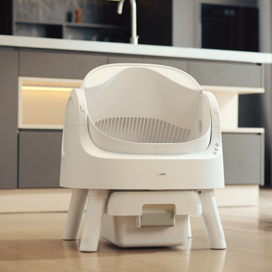 ๐บ Auto-Cleaning Smart Litter Box