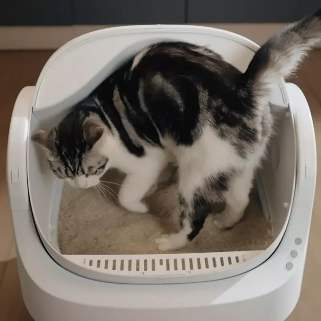 ๐บ Auto-Cleaning Smart Litter Box
