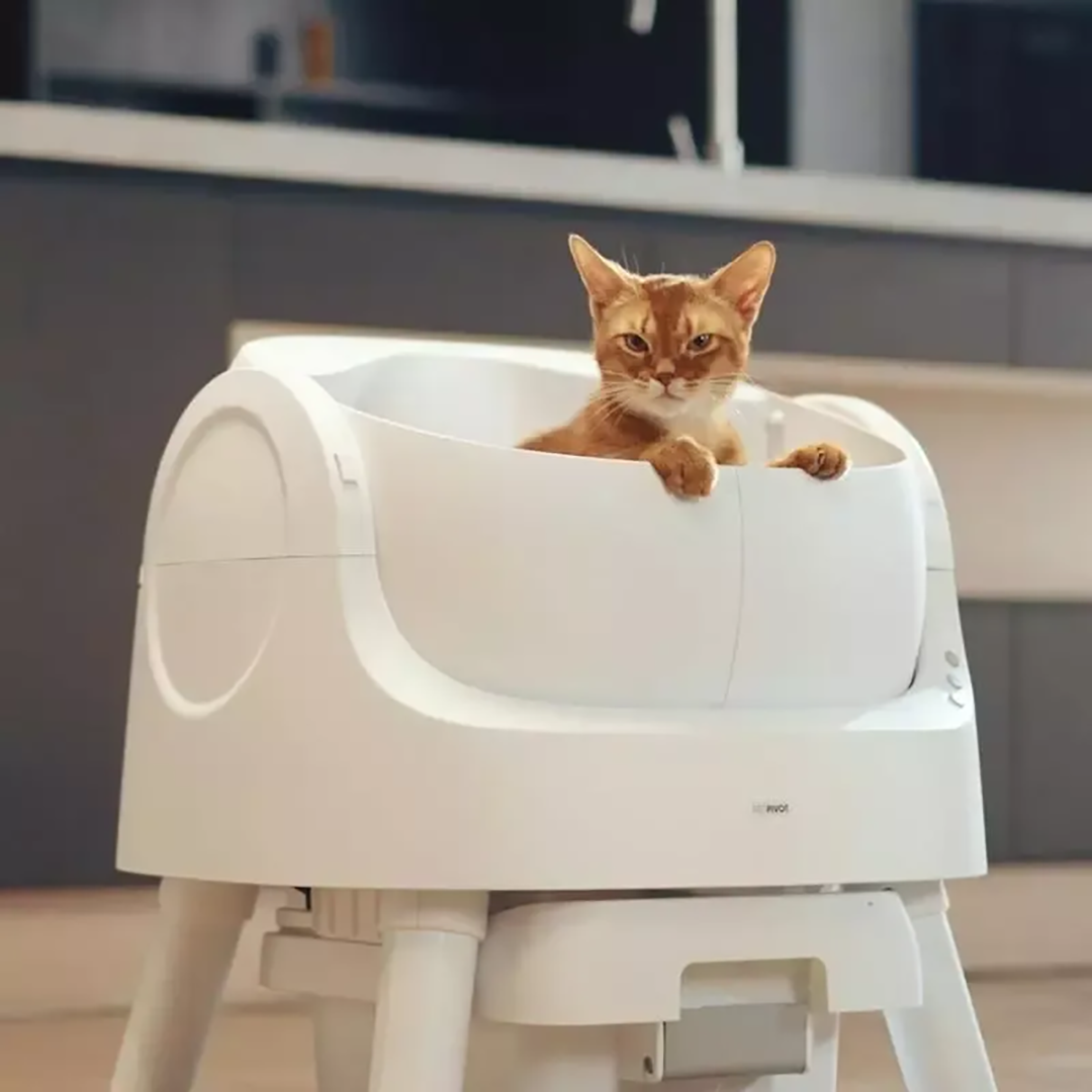 ๐บ Auto-Cleaning Smart Litter Box
