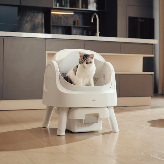 😺 Auto-Cleaning Smart Litter Box